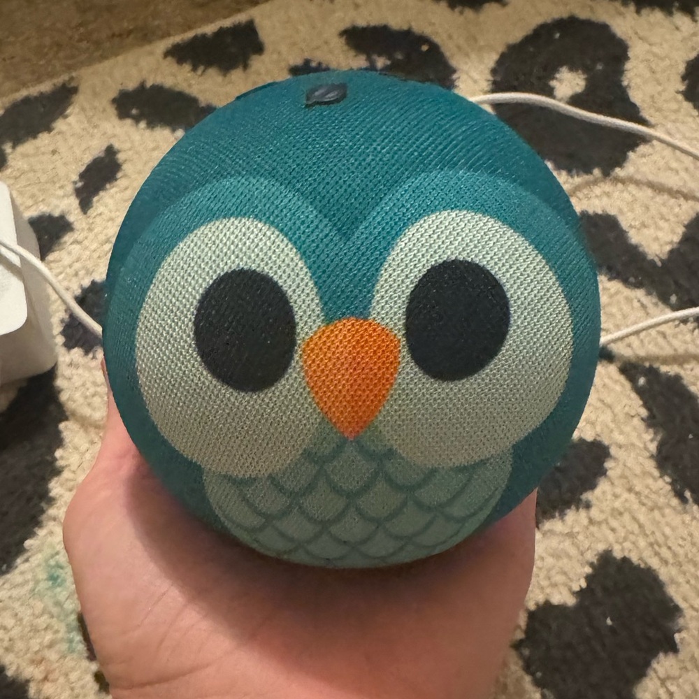 New without box Amazon Kid’s Echo Dot